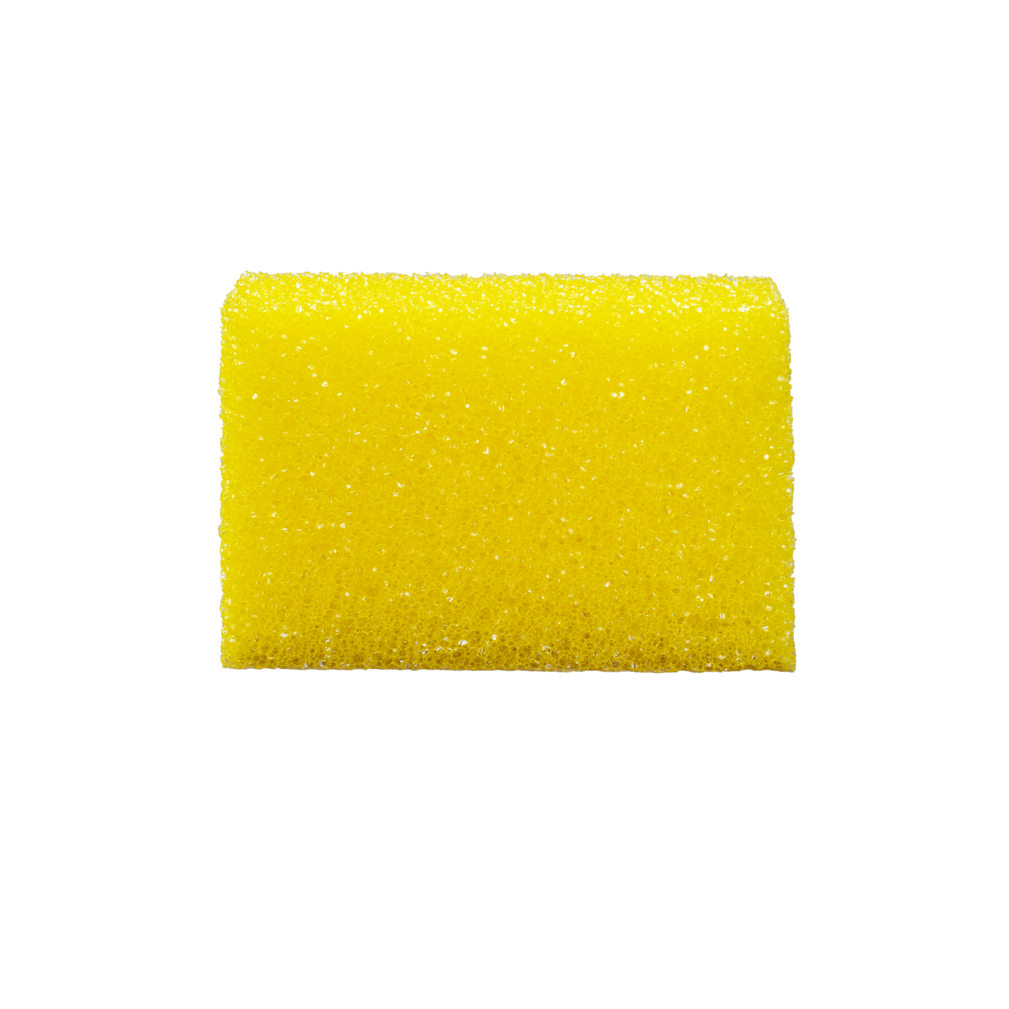 INTERIOR & UPHOLSTERY SPONGE