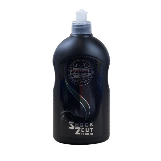 SCHOLL S2 SHOCK
