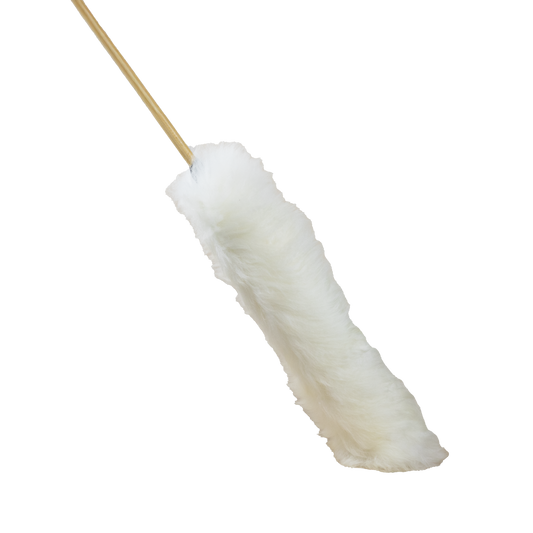 WATERLESS CAR DUSTER